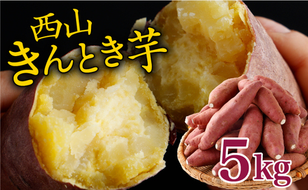 [さつまいも]秀品 サツマイモ 5kg