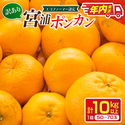 年内発送 訳あり 宮浦 ポンカン 10kg 先行予約 フルーツ_CD105-26