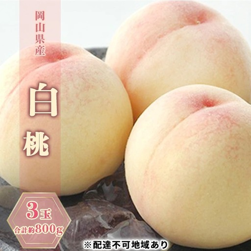 桃 2027年 先行予約 白桃 3玉 合計約800g