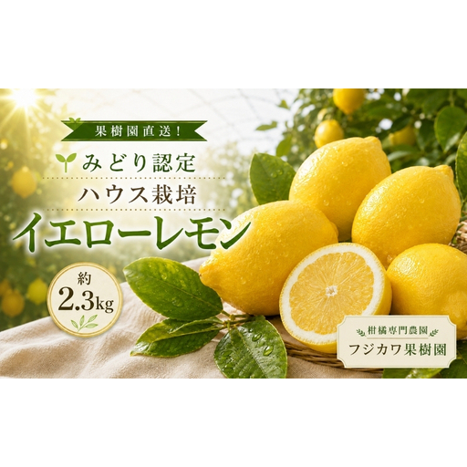 レモン ハウス栽培 イエローレモン 国産 レモン[2.3kg][先行予約]