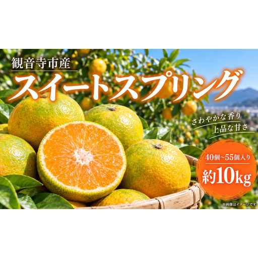 スイートスプリング 約10kg 果物類 みかん 柑橘類 フルーツ