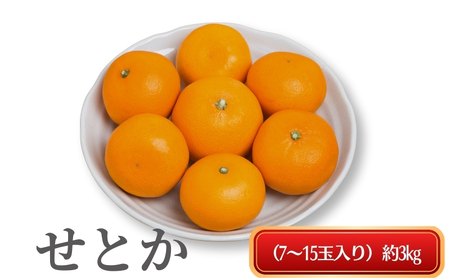 せとか 柑橘 みかん せとか[約3kg]