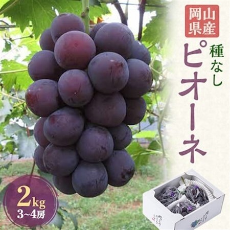 岡山県産　ピオーネ2kg箱(3～4房)_果物・フルーツ ぶどう・マスカット  ブドウ 葡萄 _【配送不可地域：離島】【1112963】