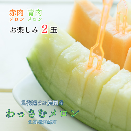 [ふるさと納税]≪令和8年産予約≫わっさむ産メロン(お任せ2玉)[7〜8月お届け]