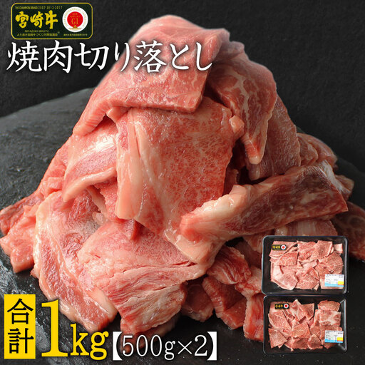 宮崎牛 焼肉 切り落とし 合計1kg（500g×2P）ウデ 牛肉 切り落し 切落し BBQ 国産 普段使い 九州産【C269-30】