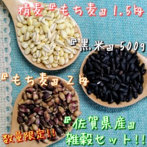 CIB96_佐賀県産もち麦２kg・精麦もち麦1.5kg・黒米500g