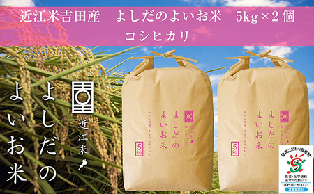 令和6年産　よしだのよいお米 近江米コシヒカリ5kg×2 