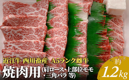 【最短1週間発送】【近江牛 西川畜産】A5ランク雌牛 焼肉用 約1.2kg （肩ロース・上部位モモ・三角バラ等） ふるさと納税 お肉 牛肉 バーベキュー ブランド牛