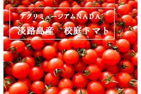 アグリミュージアムＮＡＤＡ　校庭トマト　1kg