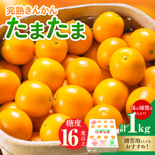 糖度16度以上 完熟 きんかん たまたま 計1kg以上 傷み補償分入り_BAV15-26