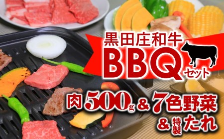 黒田庄和牛と七色の野菜バーベキューセット(モモ、バラ計500g) 44-44