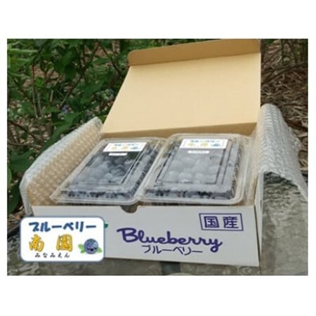 【先行受付】ブルーベリー生果 280g x 4パック 『大粒・完熟』〈6～8月出荷〉【配送不可地域：離島】【1112401】