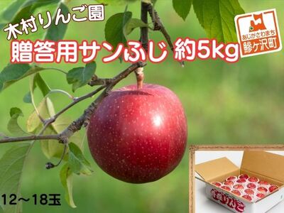 りんご サンふじ 木村りんご園 青森県産 りんご[約5kg 12〜18玉]