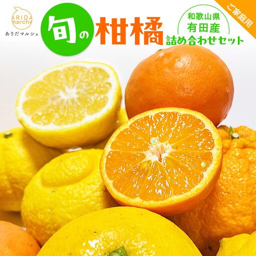有田育ちの 旬の 柑橘 詰合せセット(ご家庭用)約2.5kg[先行予約][MS63]