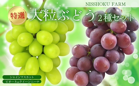 シャインマスカット 大粒ぶどう詰め合わせ シャインマスカット入り 【nisfarm012-02】