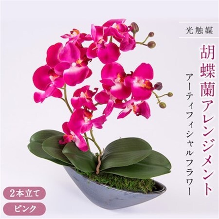 アーティフィシャルフラワー胡蝶蘭アレンジメント光触媒 (ピンク)_花・観葉植物 造花・プリザーブドフラワー 花 _