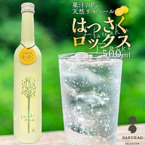 【はっさくロックス　HASSAKU　ROCKS】16度　500ml