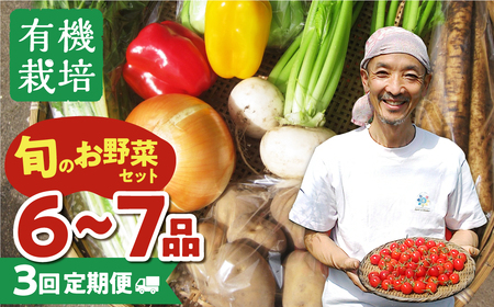 [先行受付 令和8年産]野菜3回定期便 無農薬栽培 6〜7品