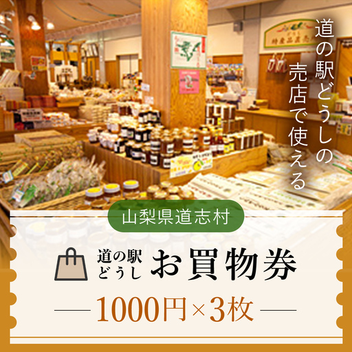 道の駅どうし お買物券（３枚）※着日指定送不可 DSH004