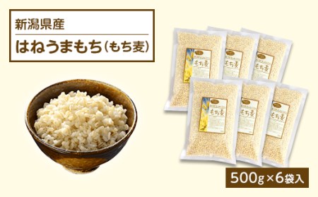 新潟県産はねうまもち(もち麦)500g×6袋入