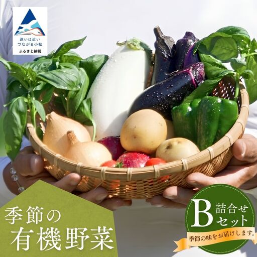 季節の有機野菜 詰合せ Ｂセット  有機野菜
