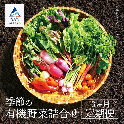 有機野菜 定期便 3ヶ月 有機野菜