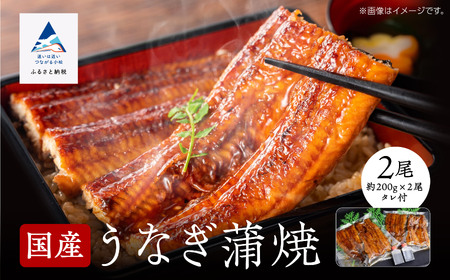 国産うなぎ蒲焼2尾 うなぎ
