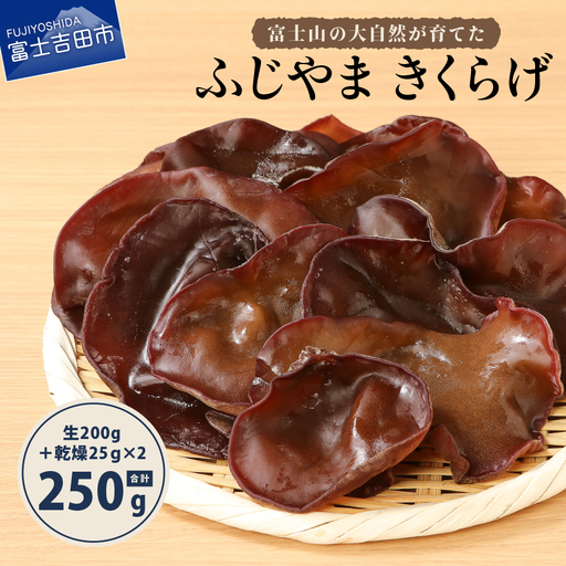 ふじやま きくらげ きのこ 国産 有機JAS オーガニック