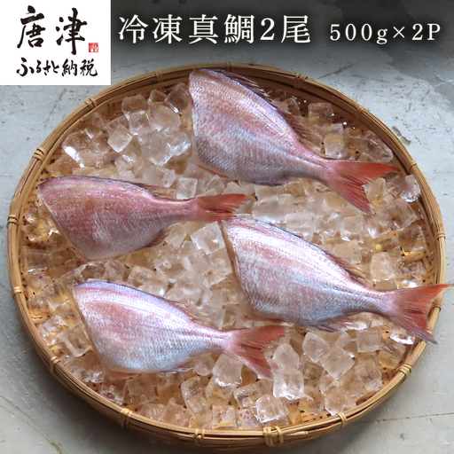冷凍真鯛 2尾500g×2P(合計1kg)