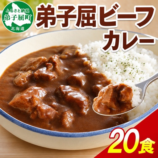 ビーフカレー 20個 セット 中辛 レトルトカレー 527
