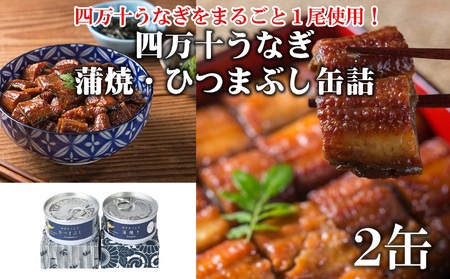 四万十うなぎ缶詰 2缶 鰻 うなぎ [1295]