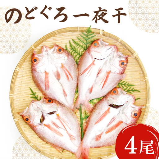 ノドグロ一夜干４尾セット【のどぐろ一夜干し のどぐろ 干物 4尾 1尾あたり120～140g 島根県産 大田市産 魚介類 魚 ノドグロ のど黒 高級魚 干物 真空パック 冷凍】