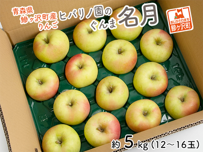 りんご ぐんま名月 ヒバリノ園 青森県産 りんご【約5kg(12～16玉)】