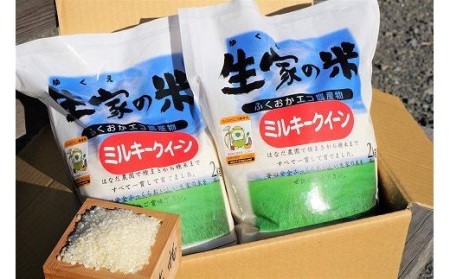 [年12回毎月お米定期便]モッチモチのお米!ミルキークイーン4kg×12回 計48kg[H7012]
