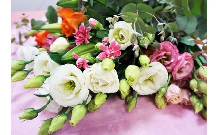 [年4回春夏秋冬]季節のお花バラエティセット定期便★あんずの里[随時開始][G7009]