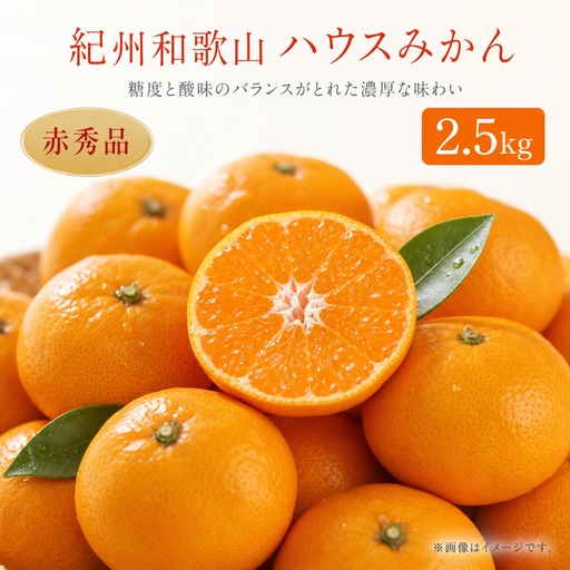 紀州和歌山有田産ハウスみかん 2.5kg 化粧箱入 ふるさと納税 ミカン |みかん ミカン 蜜柑 フルーツ みかん ふるーつ みかん 果物 みかん くだもの みかん 和歌山 みかん