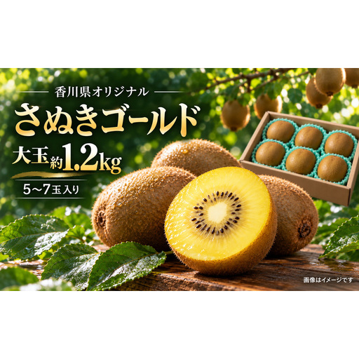 キウイ さぬきゴールド 香川県オリジナル品種 香川県産 国産 約1.2kg 5〜7玉 大玉 甘味が強い 酸味が少ない 黄色い果肉 ゴールドキウイ キウイフルーツ きうい フルーツ 果物 くだもの 果物類 デザート 朝食 讃岐 五色青果 香川県 観音寺市