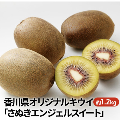キウイ さぬきエンジェルスイート 香川県産 キウイ【約1.2kg】