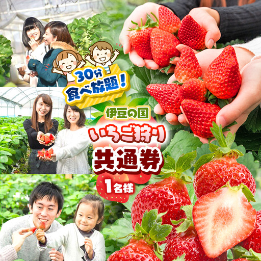 伊豆の国市いちご狩り共通券（1名様分）
