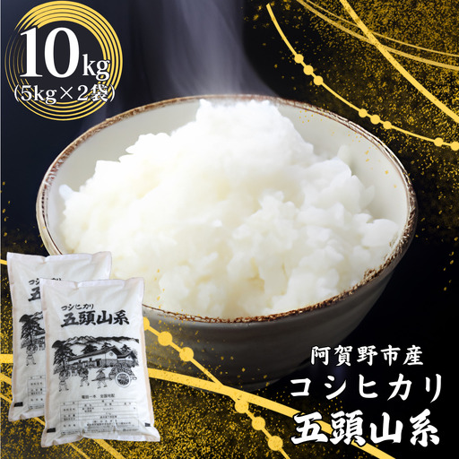 【令和7年産】「米屋のこだわり阿賀野市産」コシヒカリ 10kg  新潟県 米 こめ コメ 白米 精米 1E02035