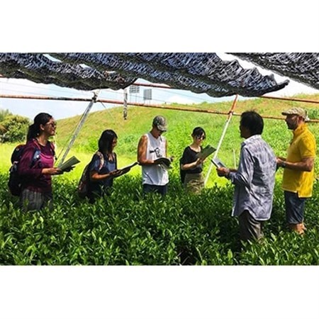 Magouemon Tour 英語通訳ガイド付(抹茶の茶園・工場見学とほんず抹茶体験ツアー)1名様分_旅行券・チケット 体験チケット _