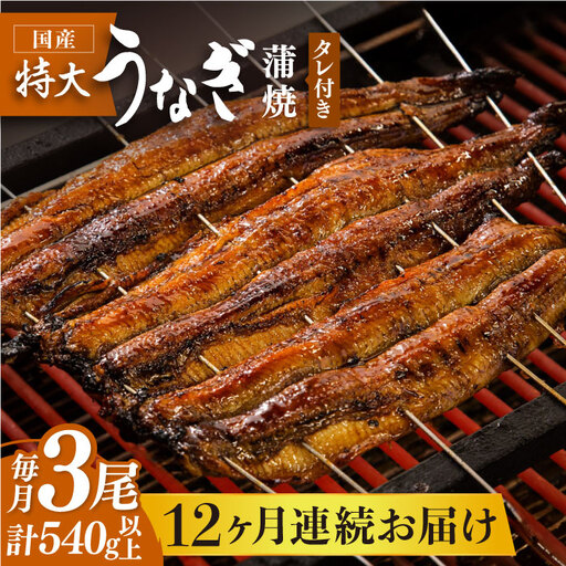 【12回定期便】板前こだわりの国産うなぎ蒲焼 3枚セット 鰻 ウナギ[FAD008]