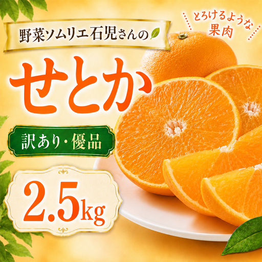 【2027年先行予約】 せとか 訳あり 2.5kg 柑橘 先行予約 野菜ソムリエ石児さん 豊予農場 ＜103-012＞