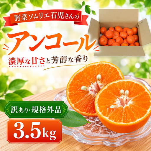 アンコール 訳あり 3.5kg 規格外 ミカン 柑橘 2027年発送 先行予約 ／ 野菜ソムリエ石児さんの「アンコール 3.5kg」＜103-017＞