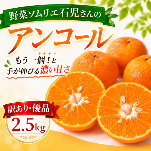 アンコール 訳あり 2.5kg 優品 ミカン 柑橘 2027年発送 先行予約 ／ 野菜ソムリエ石児さんの「アンコール 2.5kg」＜103-018＞