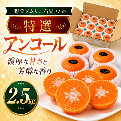 アンコール 2.5kg 特選 甘い 柑橘 2027年発送 先行予約 / 野菜ソムリエ石児さんの「アンコール 2.5kg」[103-021]