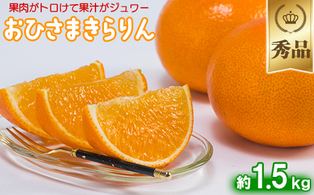12月発送開始 おひさまきらりん 秀品 約1.5kg 【今村農園】 果物 みかん 期間限定 数量限定 九州 大分県 ＜107-023＞