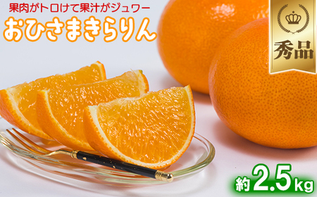 12月発送開始 おひさまきらりん 秀品 約2.5kg 【今村農園】 果物 みかん 期間限定 数量限定 九州 大分県 ＜107-024＞