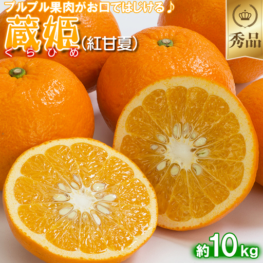 蔵姫 くらひめ (紅甘夏) 秀品 約10kg 【今村農園】 果物 期間限定 数量限定 九州 大分県 ＜107-033＞