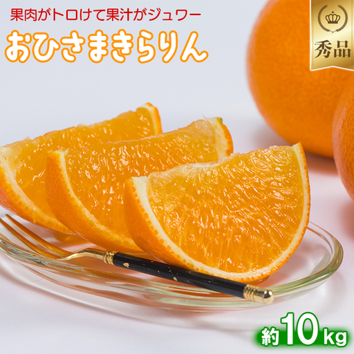 12月発送開始 おひさまきらりん 秀品 約10kg 【今村農園】 果物 みかん 期間限定 数量限定 九州 大分県 ＜107-026＞